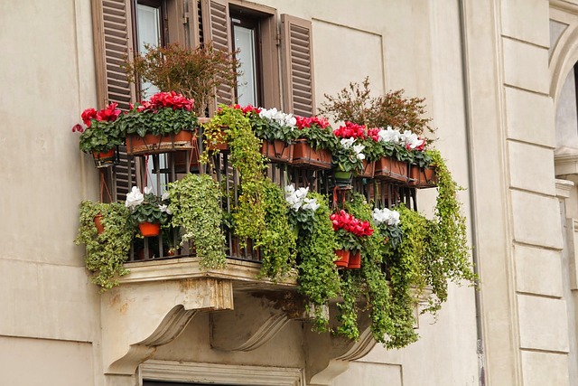 Balkon planten