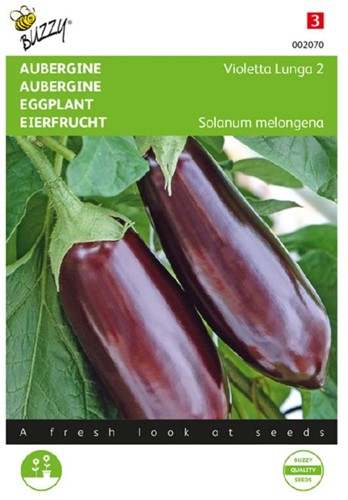 Aubergine Violetta Lunga 2 - Solanum melongena