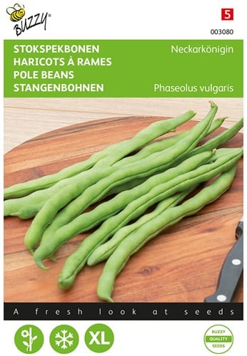 Stokspekbonen Neckarkönigin, type Phenomeen - Buzzy