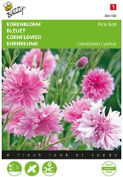 Korenbloem Pink Ball - Buzzy