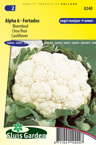 Bloemkool Alpha 6 Fortados - Brassica oleracea