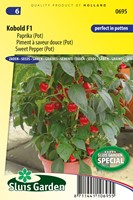 Potpaprika Kobold F1 PATIO