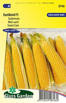 Suikermaïs Earlibird F1 - Zea Mays