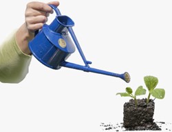 0,7L Handige Binnengieter Blauw - Haws