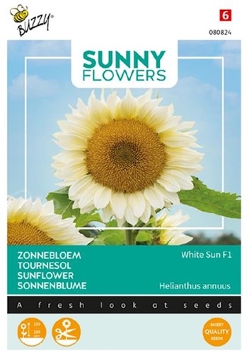 Zonnebloem White Sun F1 - Sunny Flowers