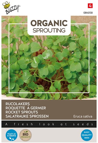 Organic Sprouting Rucolakers - Buzzy 