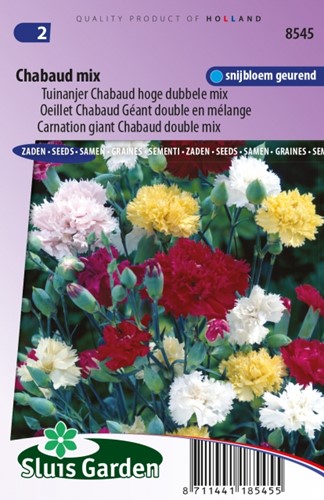 Anjer Chabaud Mix - Dianthus Chabaud