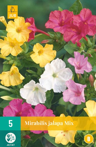 Mirabilis Jalapa Mix