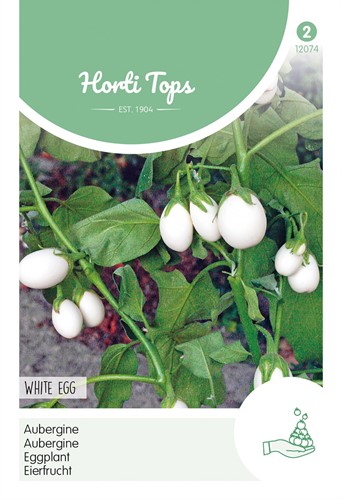 Aubergine White Egg - Horti Tops