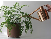1L Binnengieter - kleur Koper - Haws-2