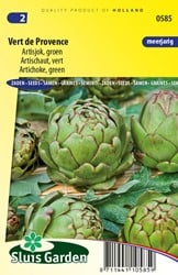 Artisjok Groen