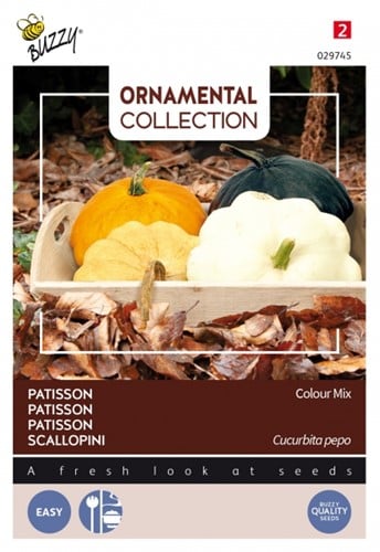 Courgette Patisson Colour Mix - Ornamental Collection