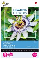 Passiebloem Blue - Climbing Flowers