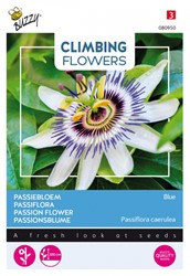 Passiebloem Blue - Climbing Flowers