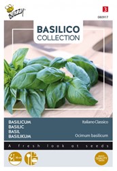 Basilicum Italiano Classico - Basilico Collection
