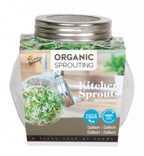 Organic sprouting Daikon BIO - glazenpot