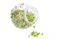 Organic Sprouting Salademix glazenpot BIO-3
