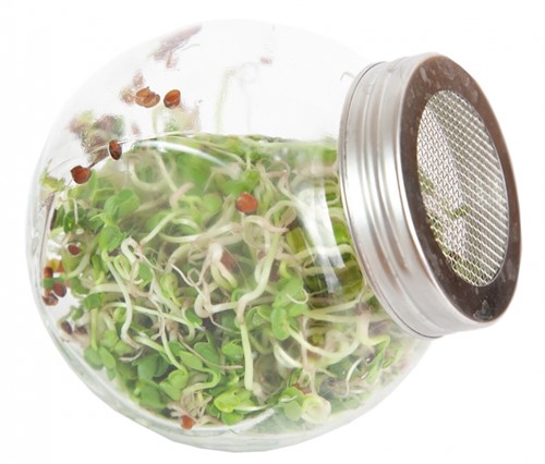 Organic Sprouting Salademix glazenpot BIO-2