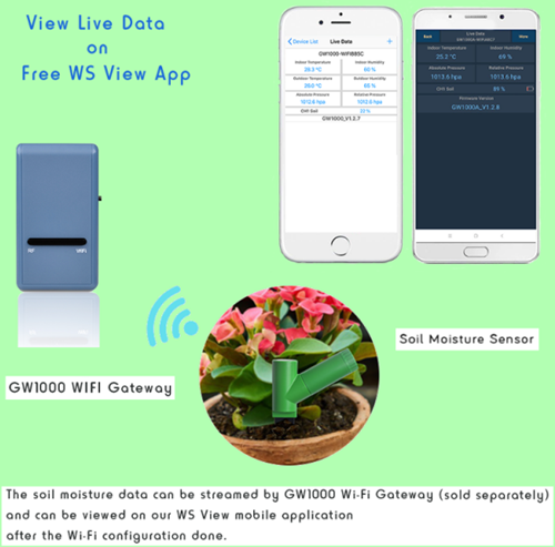 Ecowitt Gateway met sensor - Hygrometer