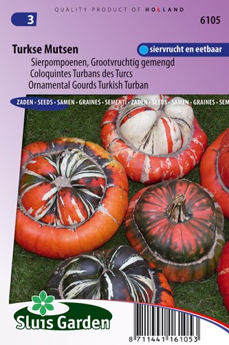 Cucurbita Turkse Muts Grote Vruchten - Sierpompoen