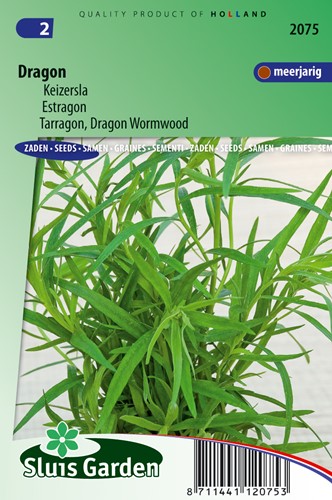 Dragon Russische - Artemisia dracunculus