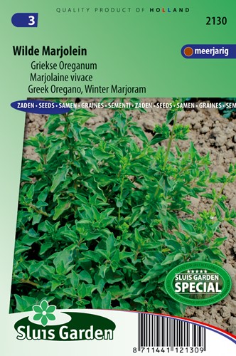 Griekse Oreganum - Origanum Hirtum