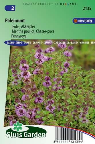 Poleimunt Mentha pulegium-kosta