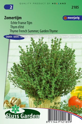 Tijm Zomer - Thymus vulgaris