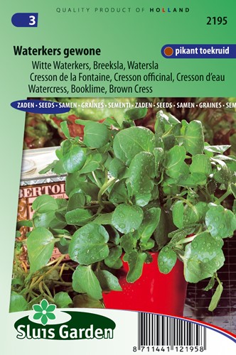 Waterkers Gewone - Nasturtium officinale