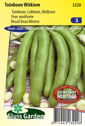 Tuinboon Witkiem - Phaseolus