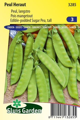 Peul Heraut - Pisum sativum