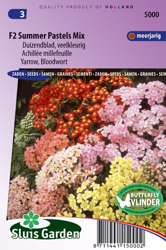 Duizendblad Summer Pastels F2 mix (Achillea)