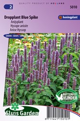 Dropplant Blue Spike - Agastache