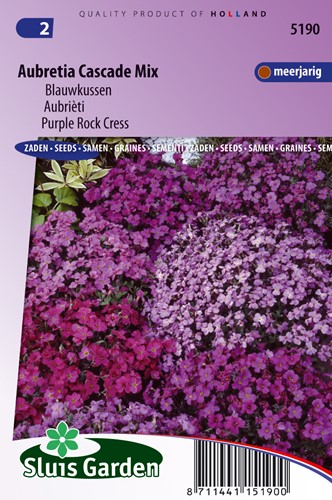 Aubretia Mix, Blauwkussen