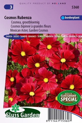 Cosmos Rubenza Fleuroselect Novelty