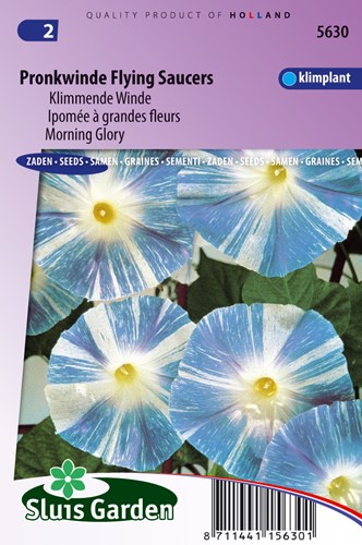Klimmende Winde Flying Saucer - Ipomoea