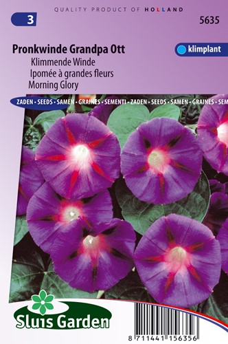 Klimmende Winde Grandpa Ott - Ipomoea