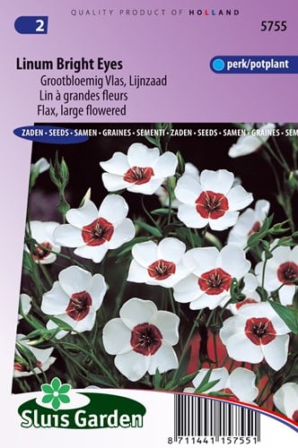 Vlas Bright Eyes - Linum grandiflorum