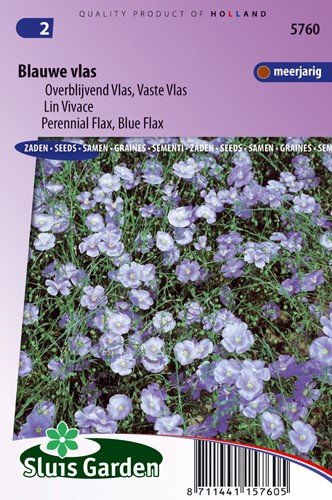 Vlas Blauw - Linum perenne