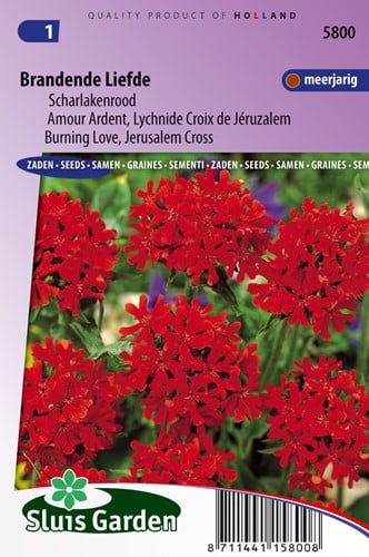 Brandende Liefde Scharlakenrood - Lychnis