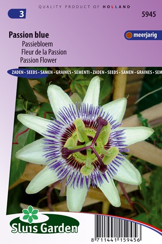 Passiebloem Passion Blue - Passiflora