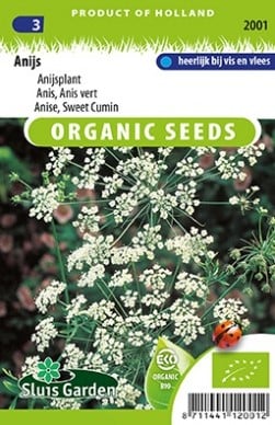 Anijs BIO - Pimpinella anisum