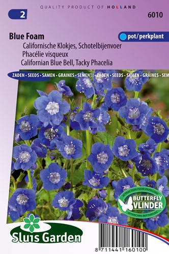 Droombijenvoer Blue Foam (Phacelia)