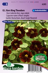 Oost-Indische kers King Theodore (Black Velvet), lage
