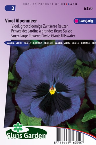 Viool Zwitserse Reuzen Alpenmeer