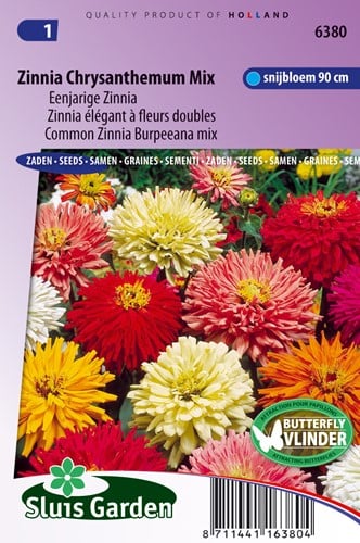 Zinnia Chrysanthemum mix