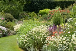 Romantische Witte border (met blauw / rode accenten)