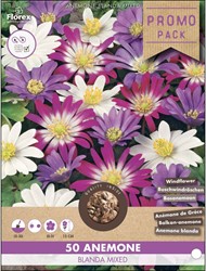 Anemone blanda mixed - Bosanemoon gemengd