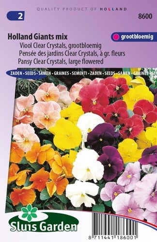 Viool Holland Giants Mix Viola Clear Crystals