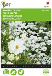 Zomerbloemen wit mengsel - Buzzy